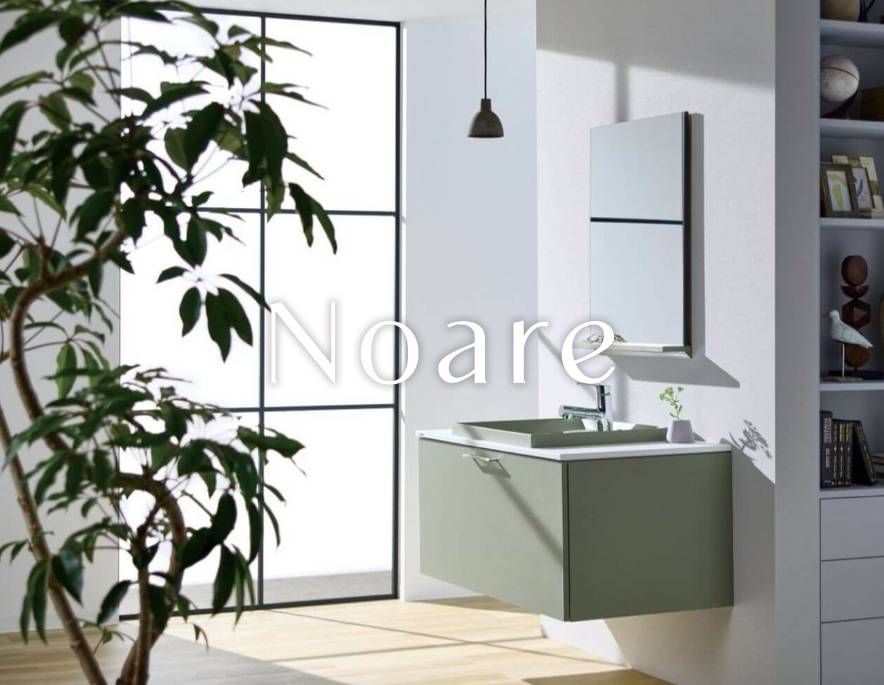 Noare