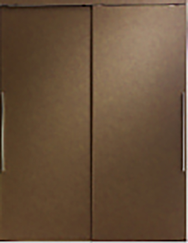 [ 画像 ] エイジングゴールド