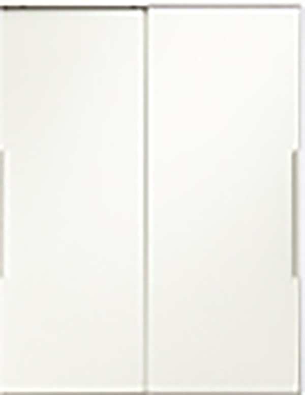 [ 画像 ] シルクホワイト