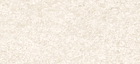 N[Xg[